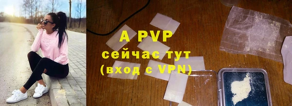 крисы Козельск