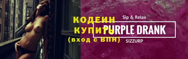 крисы Козельск