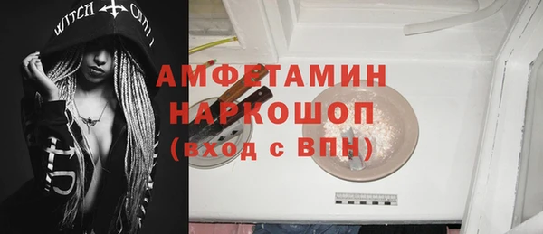 крисы Козельск