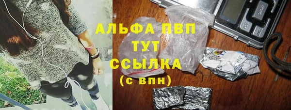 крисы Козельск