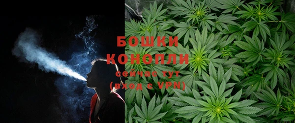 крисы Козельск