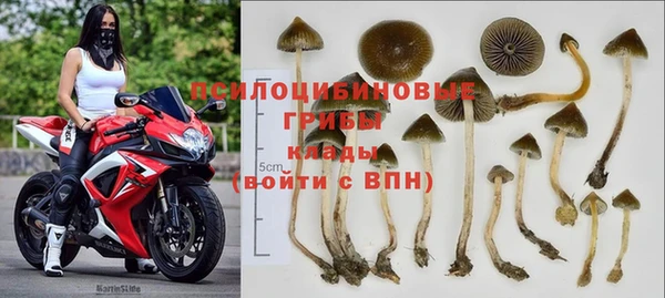 крисы Козельск