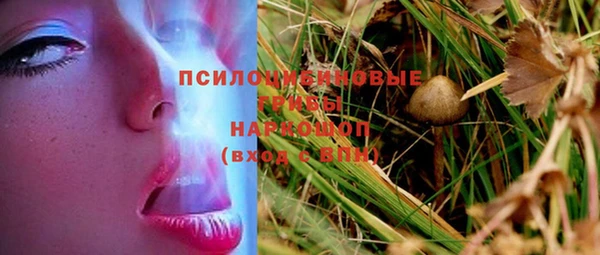крисы Козельск
