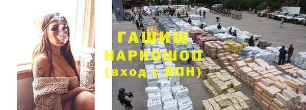 крисы Козельск