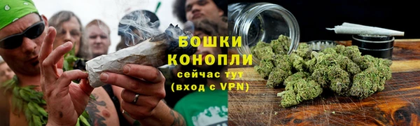 крисы Козельск
