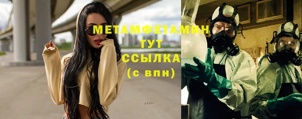 крисы Козельск
