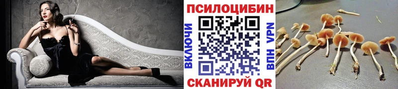 Купить закладки  Полярные Зори  Псилоцибиновые грибы мухоморы 